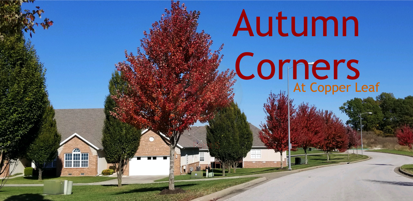 Autumn Corners in, showing some fall colors!